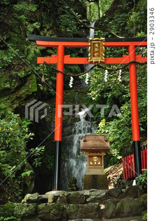 京都　松尾大社　霊亀の滝 2903346