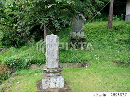鎌倉で徳川家康の縁のある大長寺を訪れて 2903377