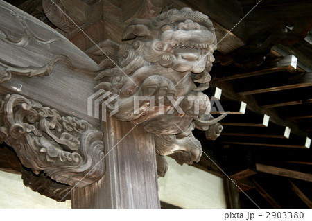 鎌倉で徳川家康の縁のある大長寺を訪れて 2903380