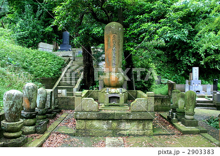 鎌倉で徳川家康の縁のある大長寺を訪れて 2903383