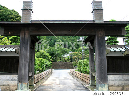 鎌倉で徳川家康の縁のある大長寺を訪れて 鎌倉で徳川家康の縁のある大長寺を訪れて 2903384
