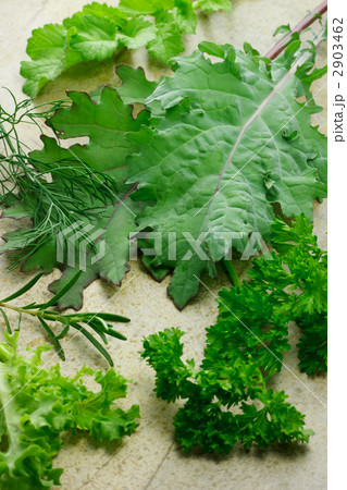 オーガニックの緑の葉の野菜とハーブの写真素材