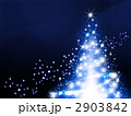 クリスマスツリー 2903842