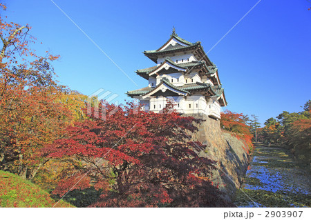紅葉の弘前城 紅葉の弘前城 2903907