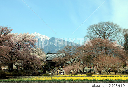 実相寺と甲斐駒ヶ岳 実相寺と甲斐駒ヶ岳 2903919
