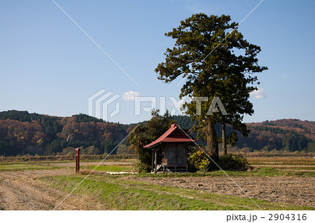 田園に佇む神社 2904316