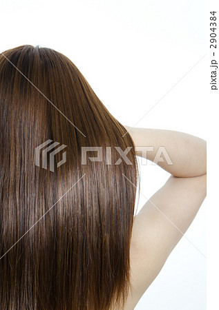 ロングヘアの女性 ロングヘアの女性 2904384