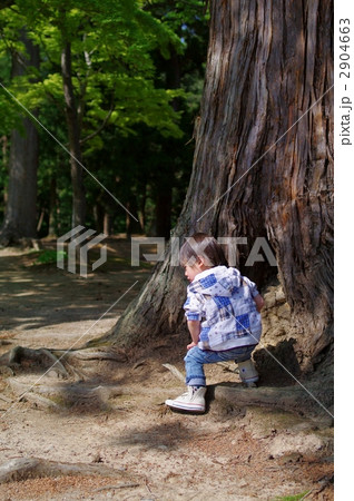 大木と子供 大木と子供 2904663