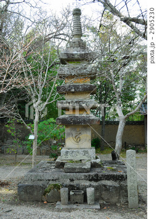 新薬師寺十三重の塔 2905230
