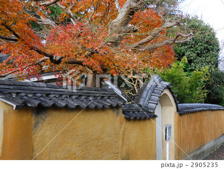 高畑町界隈 2905235