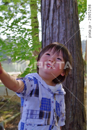 大木と子供 大木と子供 2905298
