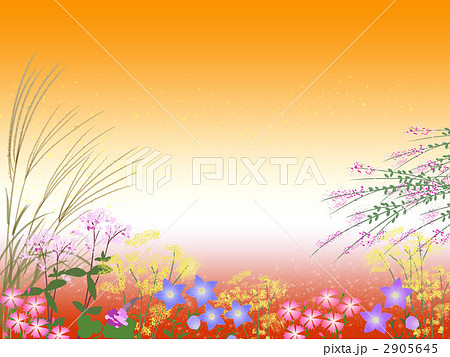 秋の七草 秋の七草 2905645