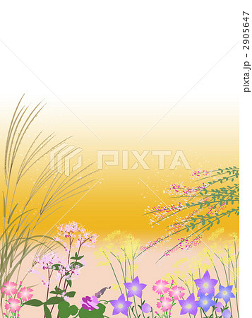 秋の七草 秋の七草 2905647