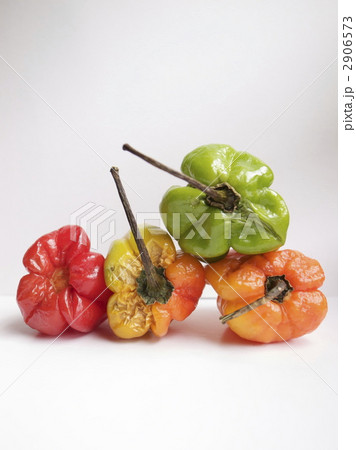 ペッパー 2906573