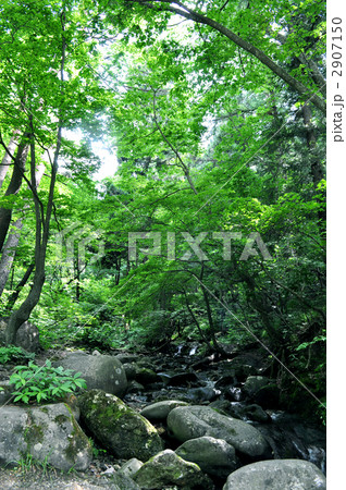 癒しスポット 2907150