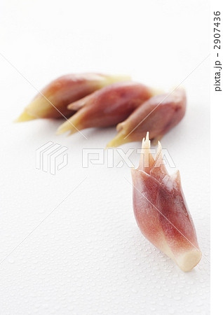 みょうが 2907436