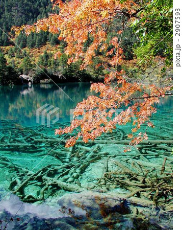 世界遺産・中国・九寨溝 2907593