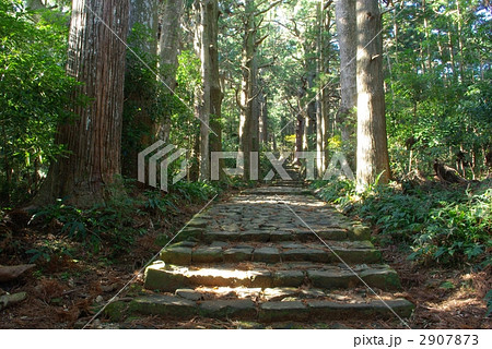 熊野古道 2907873