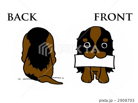 Front & Back ~black & brown Front & Back ~black & brown 2908703