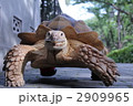 2909965