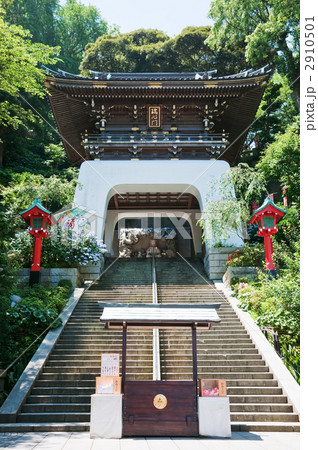 江島神社 2910501