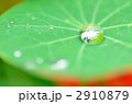 2910879