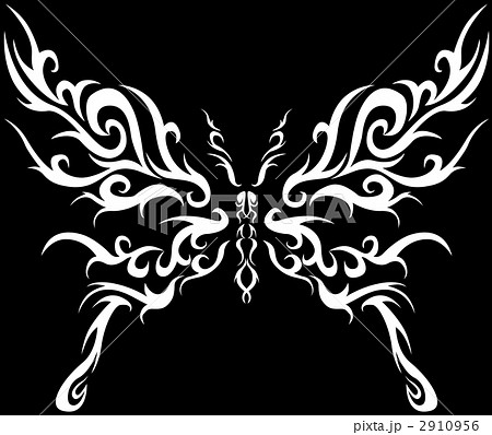 蝶のトライバル1 モノクロ 黒 のイラスト素材