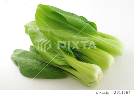チンゲン菜 チンゲン菜 2911264