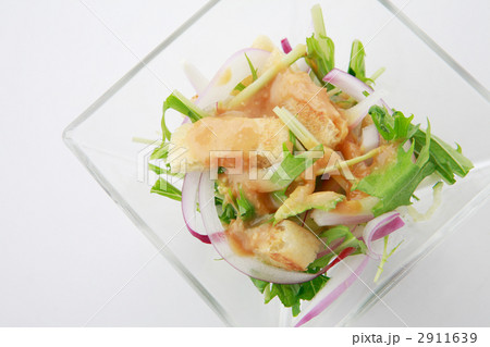 野菜酢みそドレッシング俯瞰 野菜酢みそドレッシング俯瞰 2911639