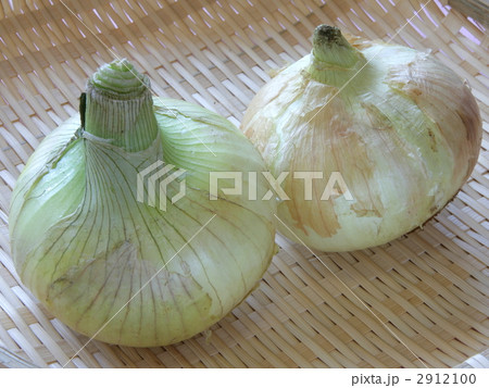 ざるに載った玉葱 2912100