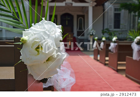 バージンロード バージンロード 2912473