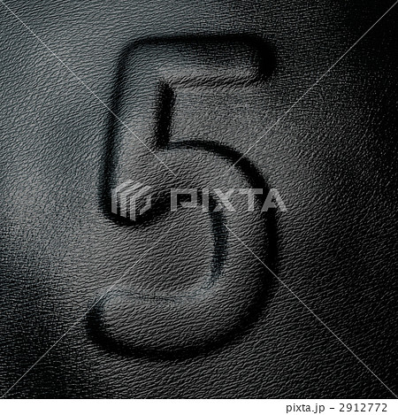 皮革 なめし革 牛革 革 レザー 数字 5 2912772