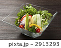 野菜サラダ 2913293