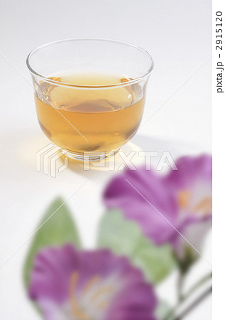 麦茶 2915120
