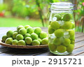 梅酒 2915721