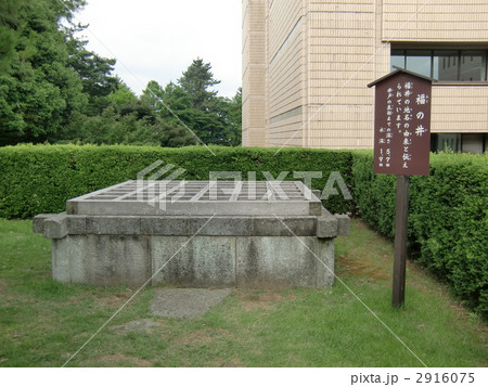 福の井 福の井 2916075