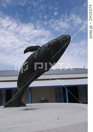 鯨のオブジェ 2916374