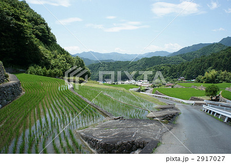 深野のだんだん田 深野のだんだん田 2917027