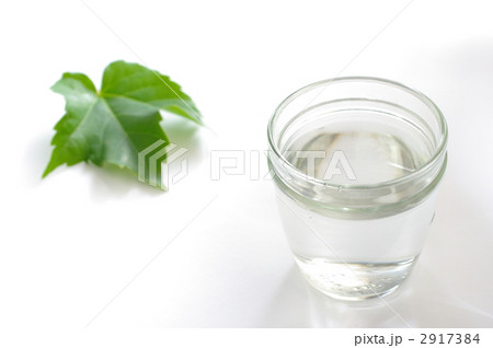 水と葉 水と葉 2917384