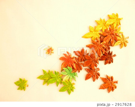 手作り紙ねんどの紅葉狩り 2917628