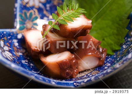 タコのやわらか煮 2919375