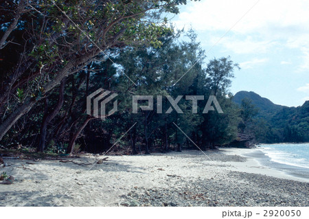 世界遺産　小笠原諸島、初寝浦海岸。東京・小笠原村。１９９９年撮影 2920050