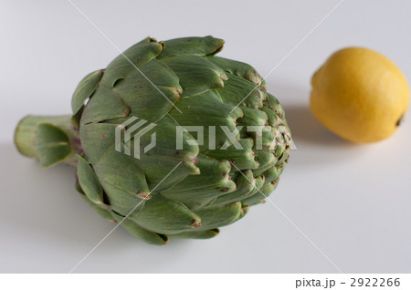 アーティチョークとレモン アーティチョークとレモン 2922266