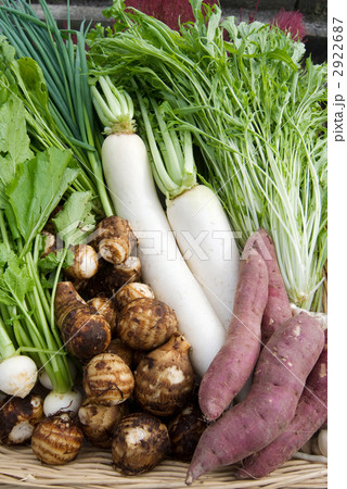 野菜集合 2922687