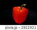2922921