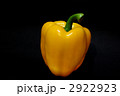 2922923