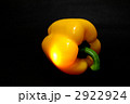 2922924