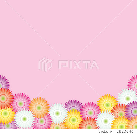 ピンクバックのガーベラいっぱい 2923040