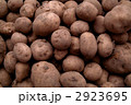 じゃがいも 2923695