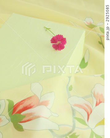 風呂敷包み 風呂敷包み 2925085